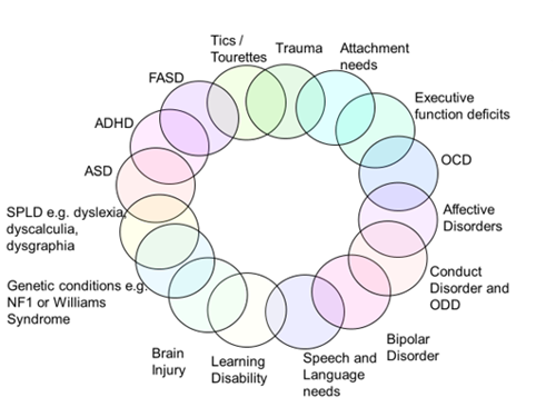 ADHD comorbidities
