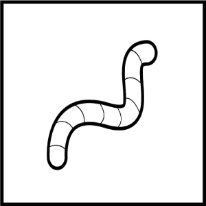 Worms